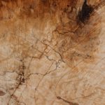 Wood Slab