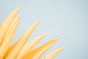 martin-adams-MpTdvXlAsVE-unsplash