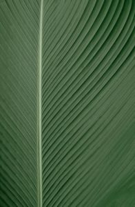 omid-armin-FnZKE3owM1o-unsplash