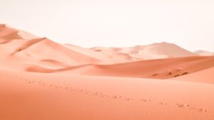 ruben-bagues-vPQfc4niDh0-unsplash