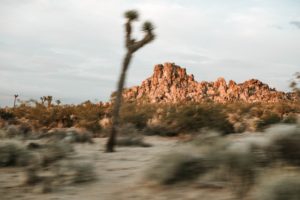 Alone In Paradise