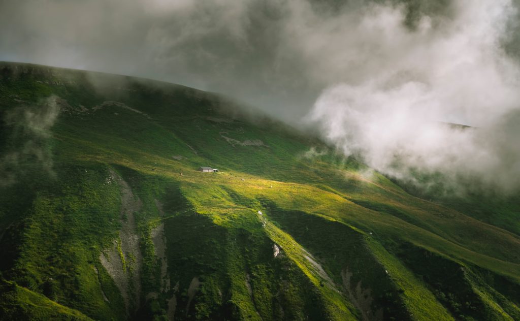 salmen-bejaoui-n8N47u8Evew-unsplash