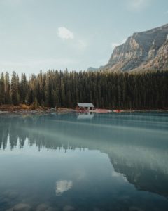 dave-herring-6nnKjJ-fAIc-unsplash