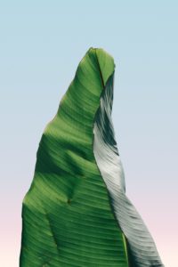 pierre-chatel-innocenti-muMR2IhCbZ0-unsplash